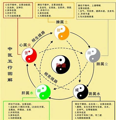 水和金的关系|五行是水生金、还是金旺水 金生水是金旺还是水旺